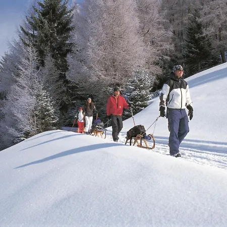 Chalet Chalet Fassl *